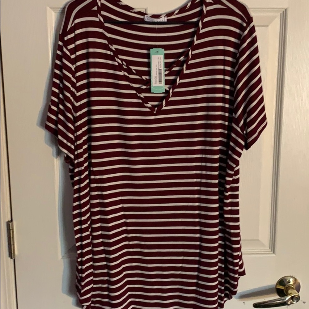 Shirt sleeve dulce knit top